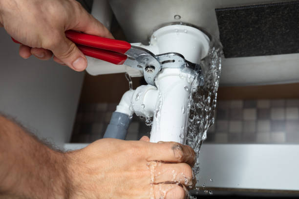 Best Mold removal after water damage  in West End, NY