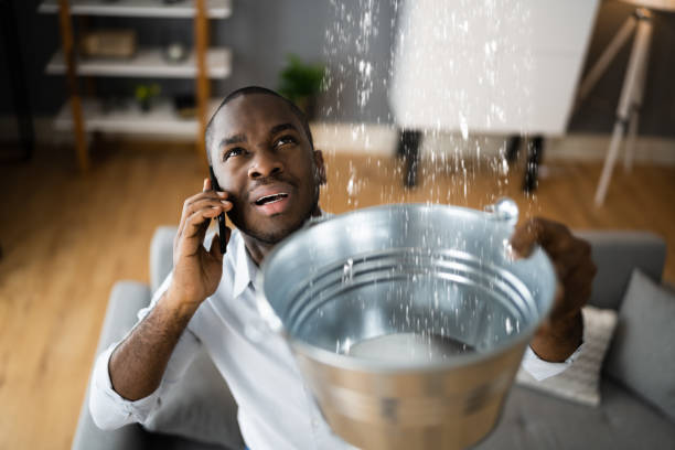 Best Flooded house restoration  in West End, NY