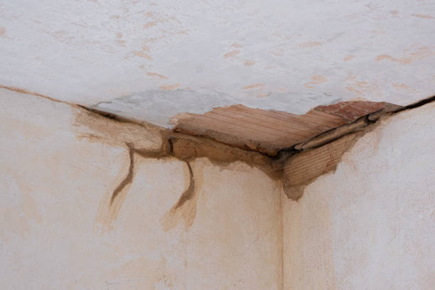 Best Residential water damage restoration  in West End, NY