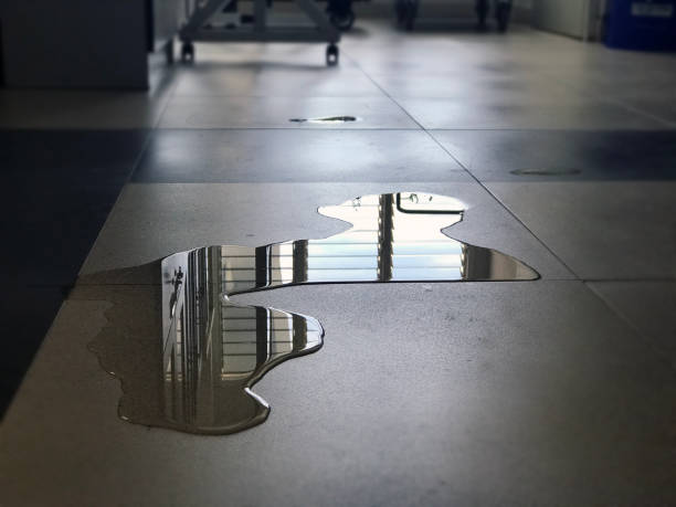 Best Water damage restoration cost  in West End, NY