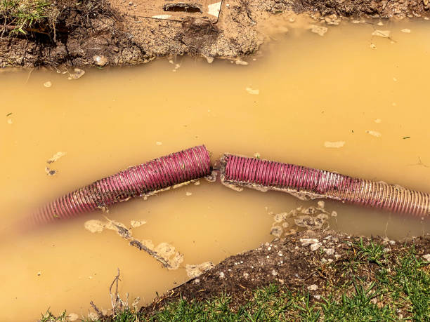 Best Local water damage restoration  in West End, NY