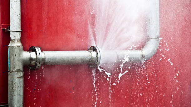 Best Flooded house restoration  in West End, NY