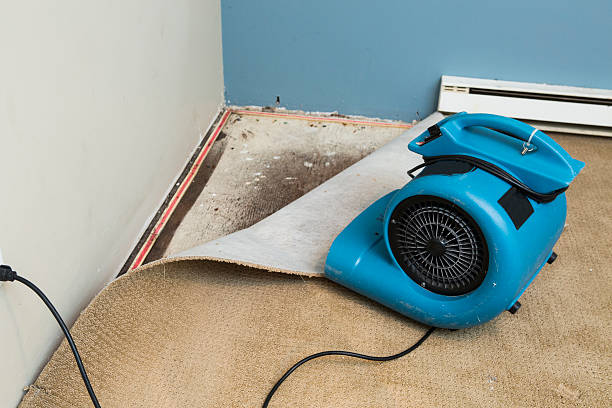 Best Water damage contractors near me  in West End, NY
